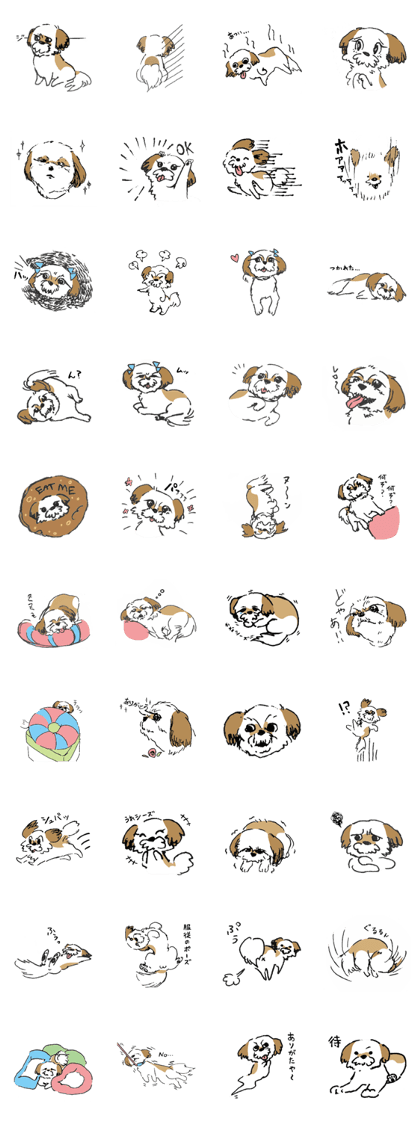 Shih-Tzu-FUKU