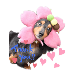 AKIKO_20200322121522