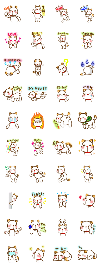 Kishu Inu-Leo-