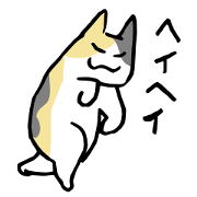 notes in cats
