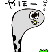 Loose Chin anago kun.