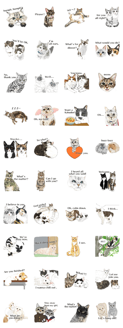 61 Cats ver.English