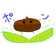 everyday kuri