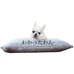 Hana_20200323151853