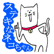 A nice cat