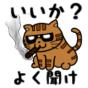 dandy and hardboiled cat