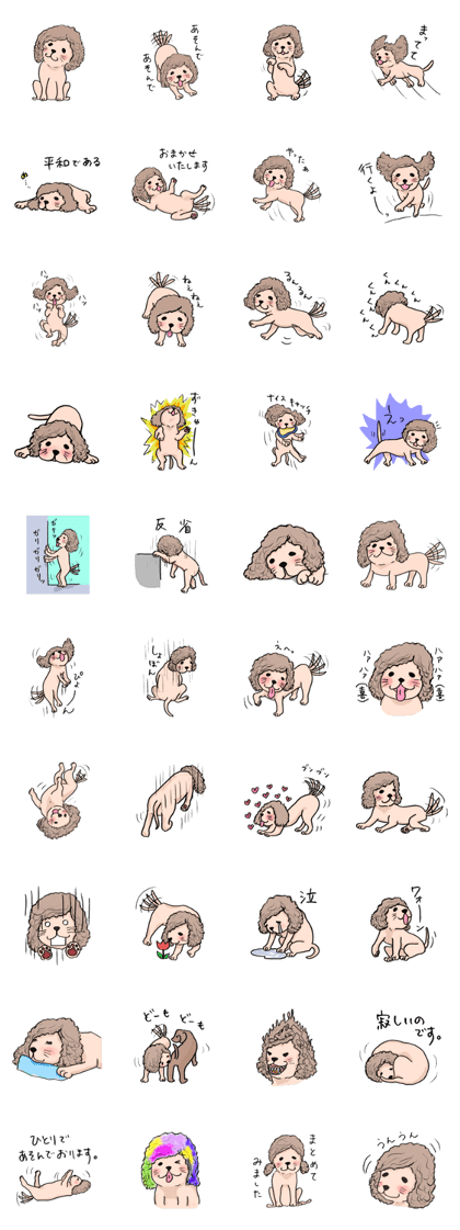 Long hair dog Teru