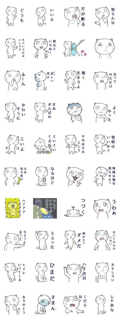 The cool white cat