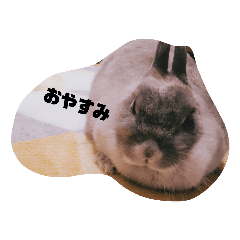 chie_20200323174407