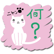 Daily cats collection
