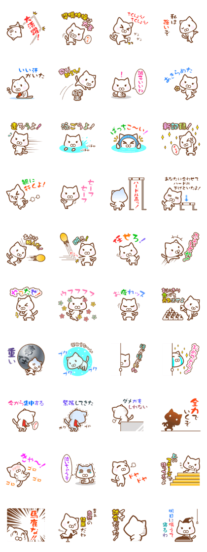 The white cat which plays sports