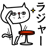 Grouchy cat