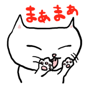 Friendly white cat