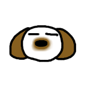 kotaro of Shih Tzu2
