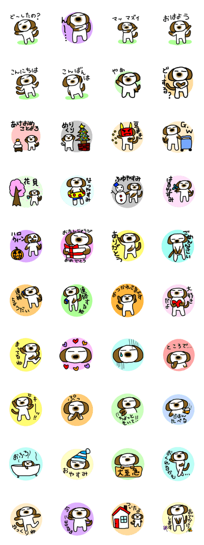kotaro of Shih Tzu2