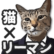 Cat office worker