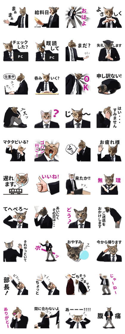 Cat office worker