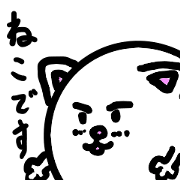 cat big