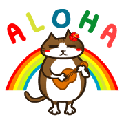 Hawaiian relaxing fat cat ViVi