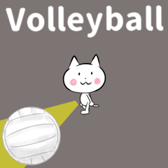 move Volleyball animation English ver