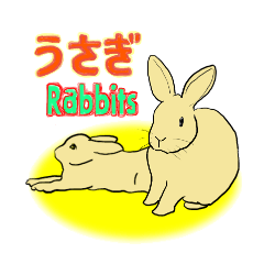 House Rabbits!