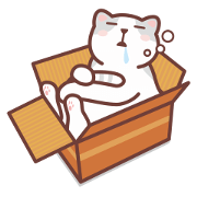 CAT BOX