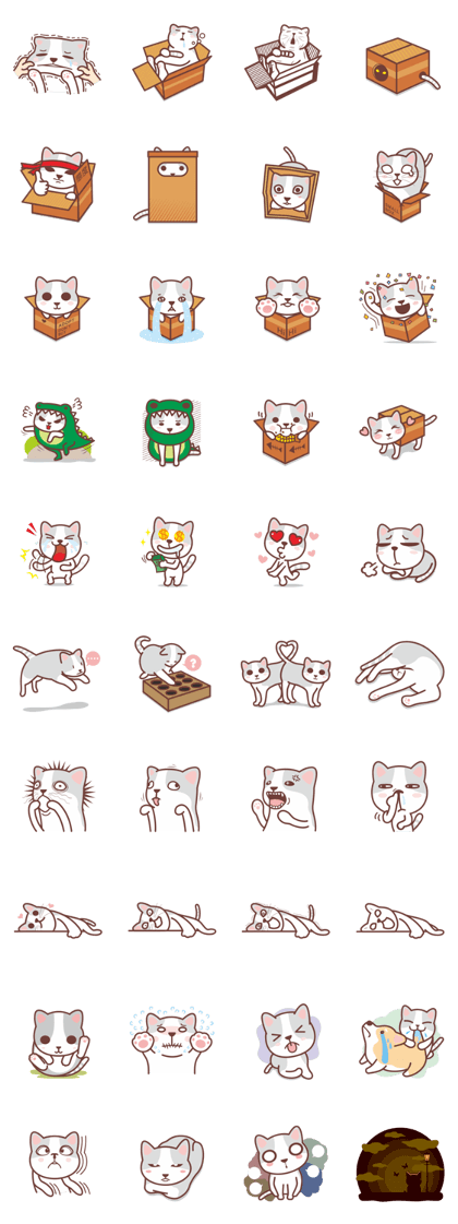 CAT BOX