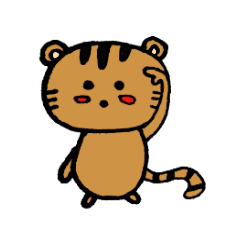 fluffy tiger cat