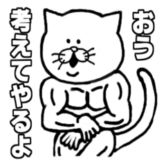 muscle soldier white cat