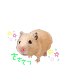 march_20200323202558