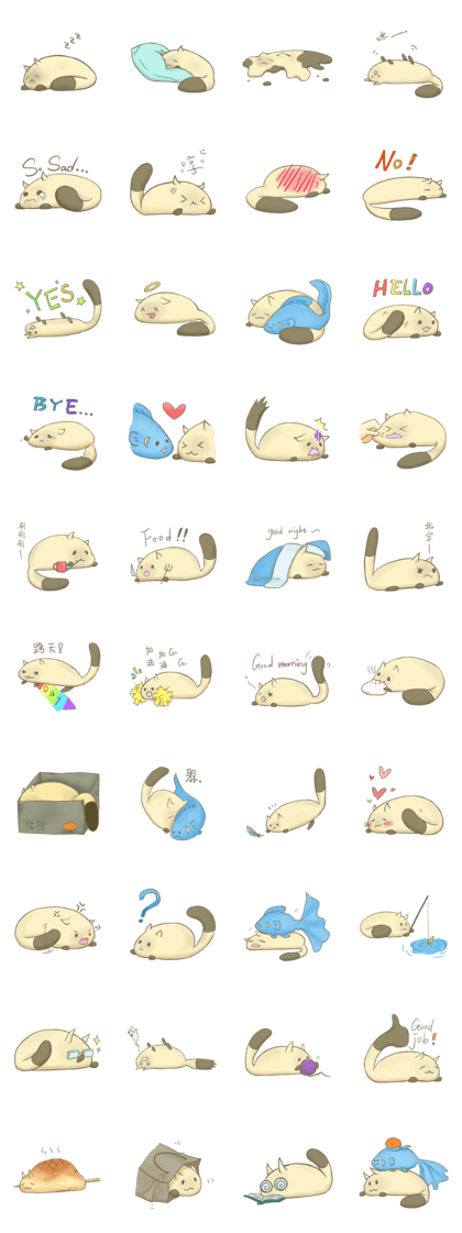 Lazy Kitten Lazy Kitten