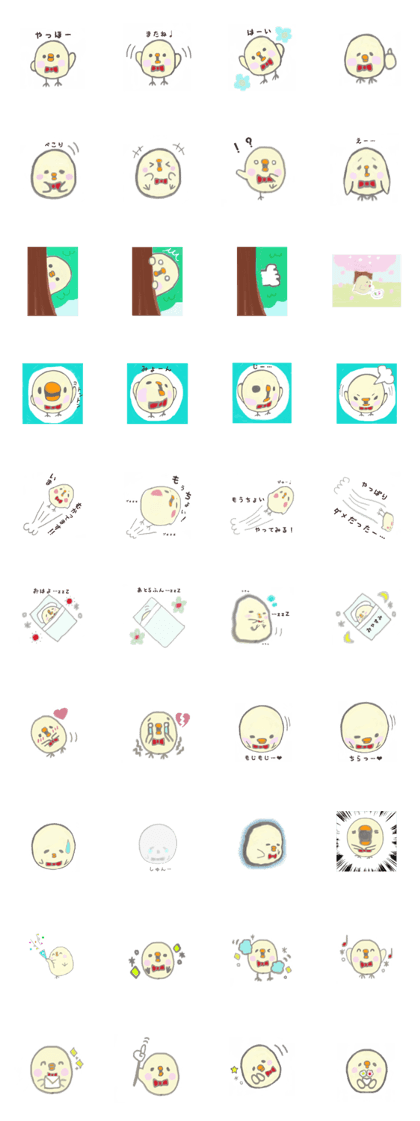 Toripyi of chick Toripyi of chick