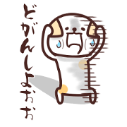 NamattoruNyan NamattoruNyan