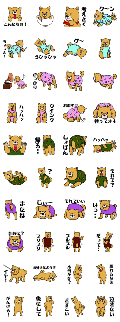 My Dear Dog My Dear Dog