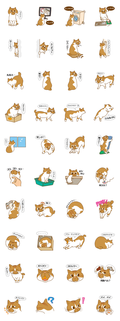 NIKE is My Family NIKE is My Family