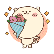 ancorocham ancorocham