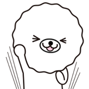 Tipusy of Bichon frise Tipusy of Bichon frise