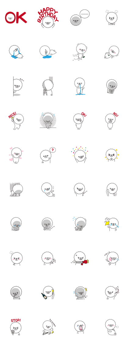 Tipusy of Bichon frise Tipusy of Bichon frise