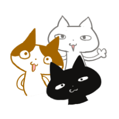 Three of funny cat