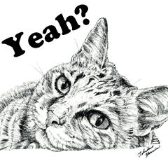 Cats & Dogs 1 with Words - English ver.