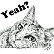 Cats & Dogs 1 with Words - English ver.