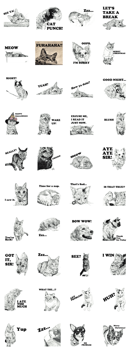 Cats & Dogs 1 with Words - English ver.