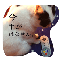 miyopiyo_20200324004455