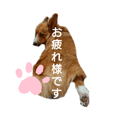 taru_20200324022619