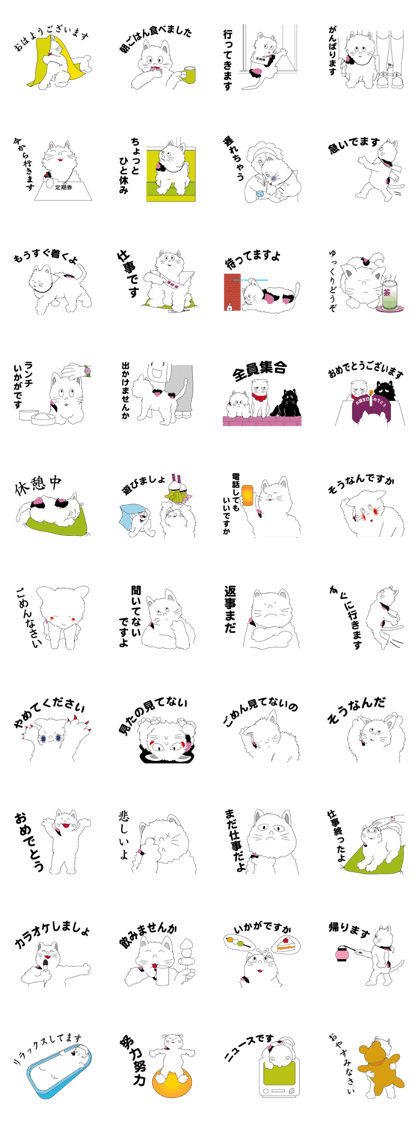 one day of calico cat mako