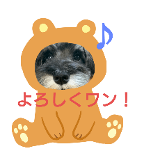 cocoa_20200324102255