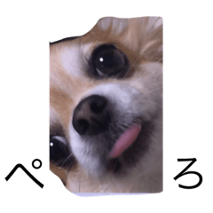 ayumi_20200324131051