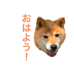 yuto_20200324132231