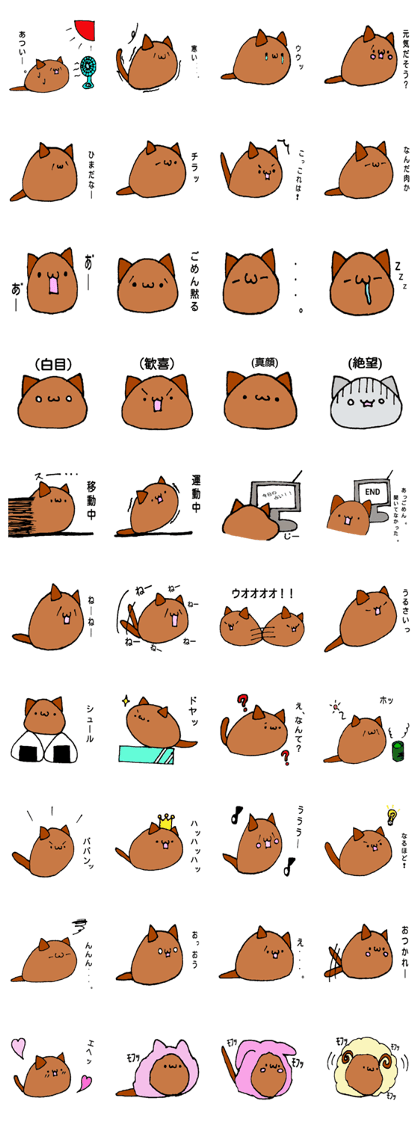 coffee bean cat coffee bean cat