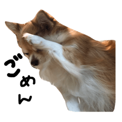 ayumi_20200324154007